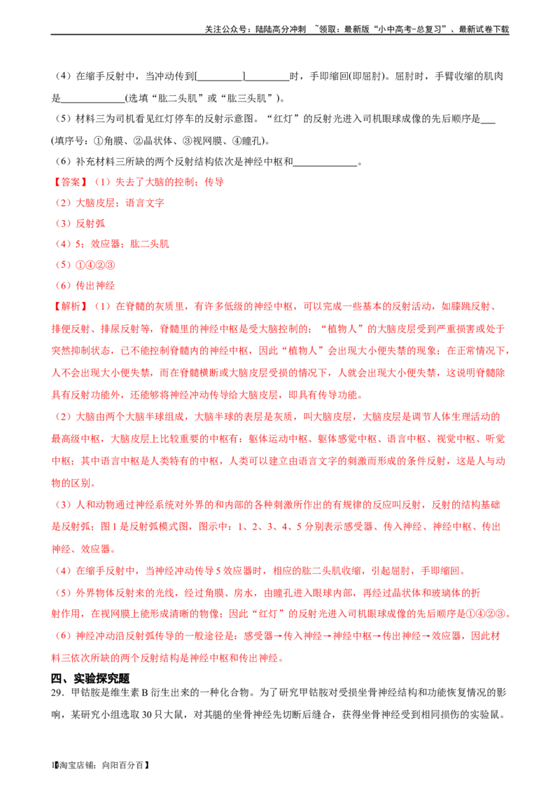 专题14人体生命活动的调节（习题精练）-省心备考2024年中考生物一轮复习精讲精练（全国通用）（解析版）_02中考总复习（2026版更新中）_08-生物-中考总复习_2024年中考复习资料