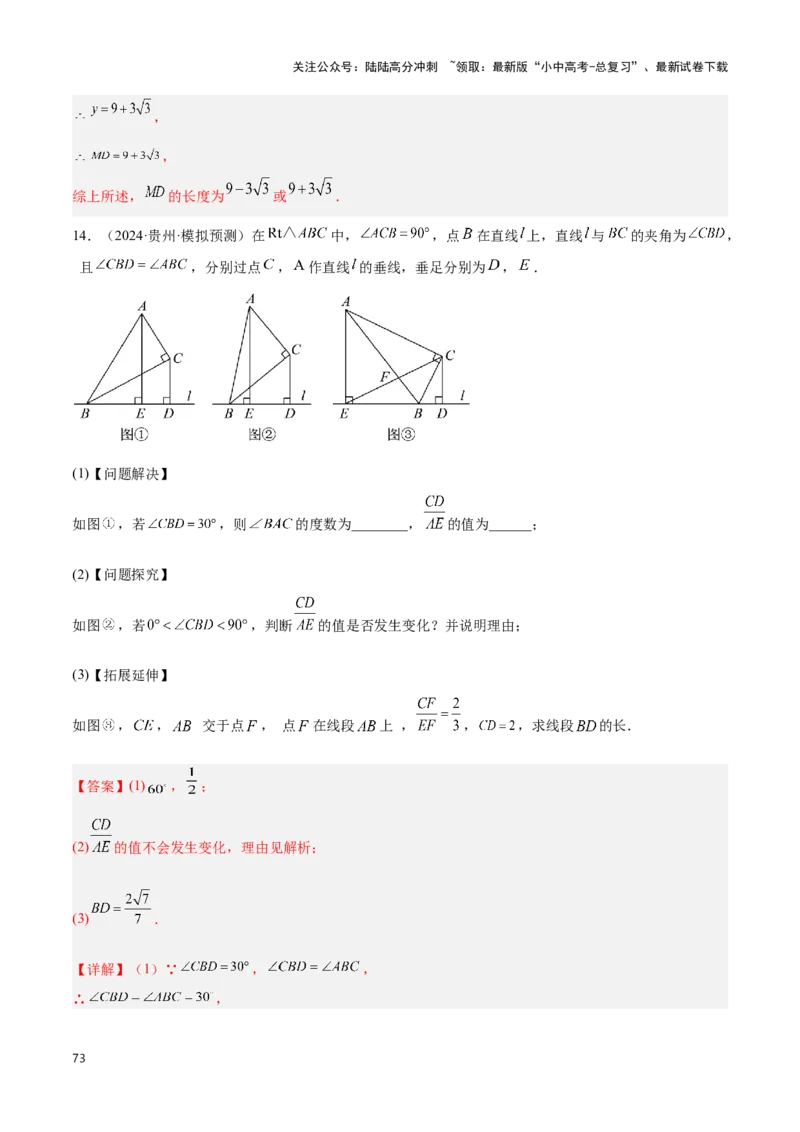 专题13几何类比探究题型（解析版）_02中考总复习（2026版更新中）_02-数学-中考总复习_2024年中考复习资料_二轮复习资料_完2024年中考数学解题技巧模板