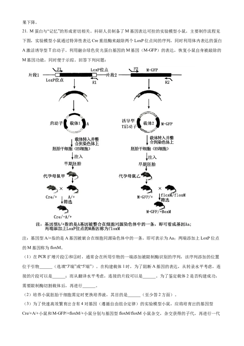 2024年高考生物真题（广西自主命题）（解析版）_全国卷+地方卷_6.生物_1.生物高考真题试卷_2024年高考-生物_2024年广西自主命题-生物