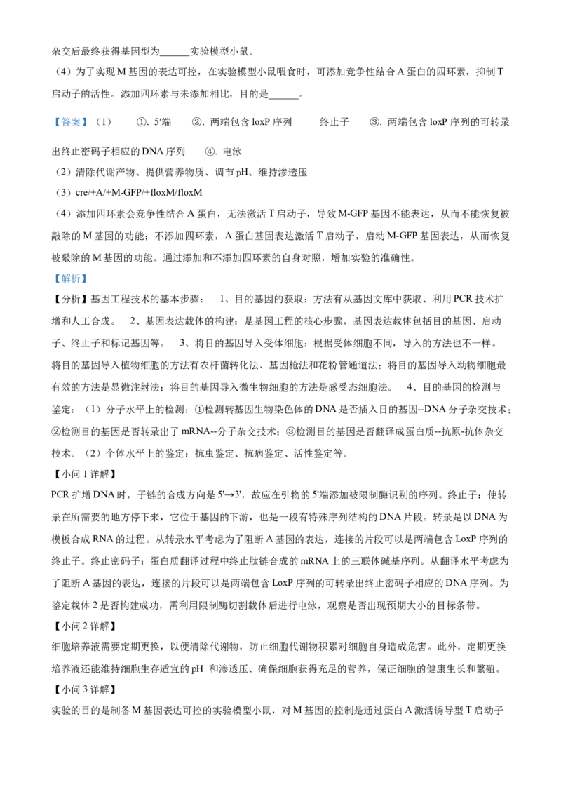 2024年高考生物真题（广西自主命题）（解析版）_全国卷+地方卷_6.生物_1.生物高考真题试卷_2024年高考-生物_2024年广西自主命题-生物