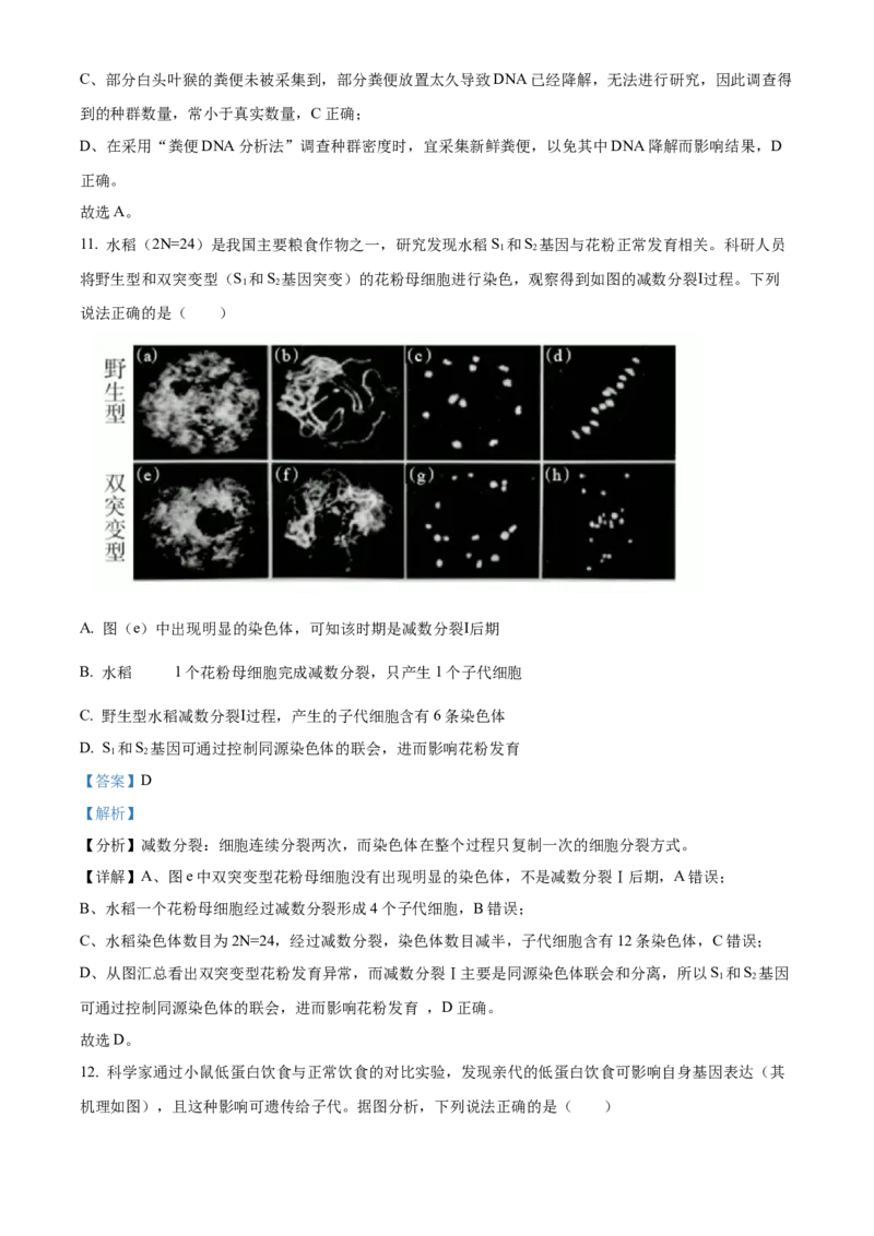 2024年高考生物真题（广西自主命题）（解析版）_全国卷+地方卷_6.生物_1.生物高考真题试卷_2024年高考-生物_2024年广西自主命题-生物