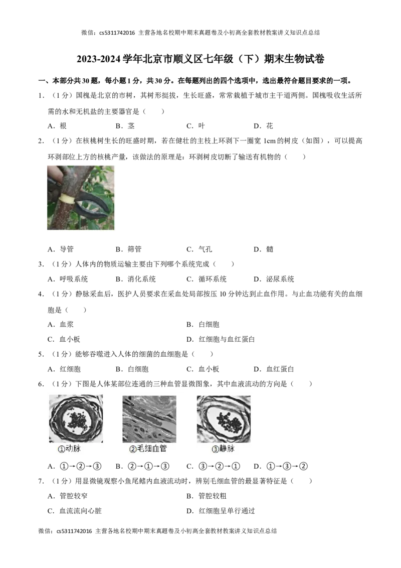 北京市顺义区2023-2024学年七年级下学期期末生物试卷(1)_北京初中期末题_C605-京七八九_B京生物七八九_北京7下生物_2022-2024_北京生物7下期末