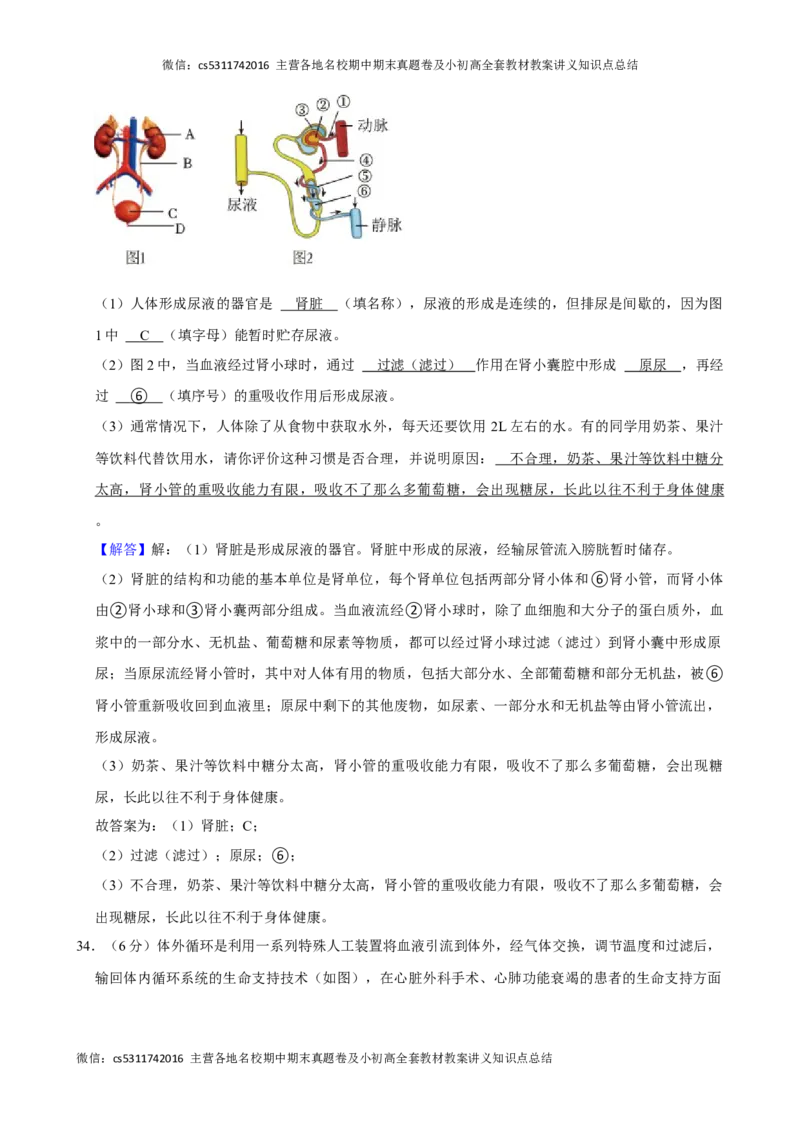 北京市顺义区2023-2024学年七年级下学期期末生物试卷(1)_北京初中期末题_C605-京七八九_B京生物七八九_北京7下生物_2022-2024_北京生物7下期末