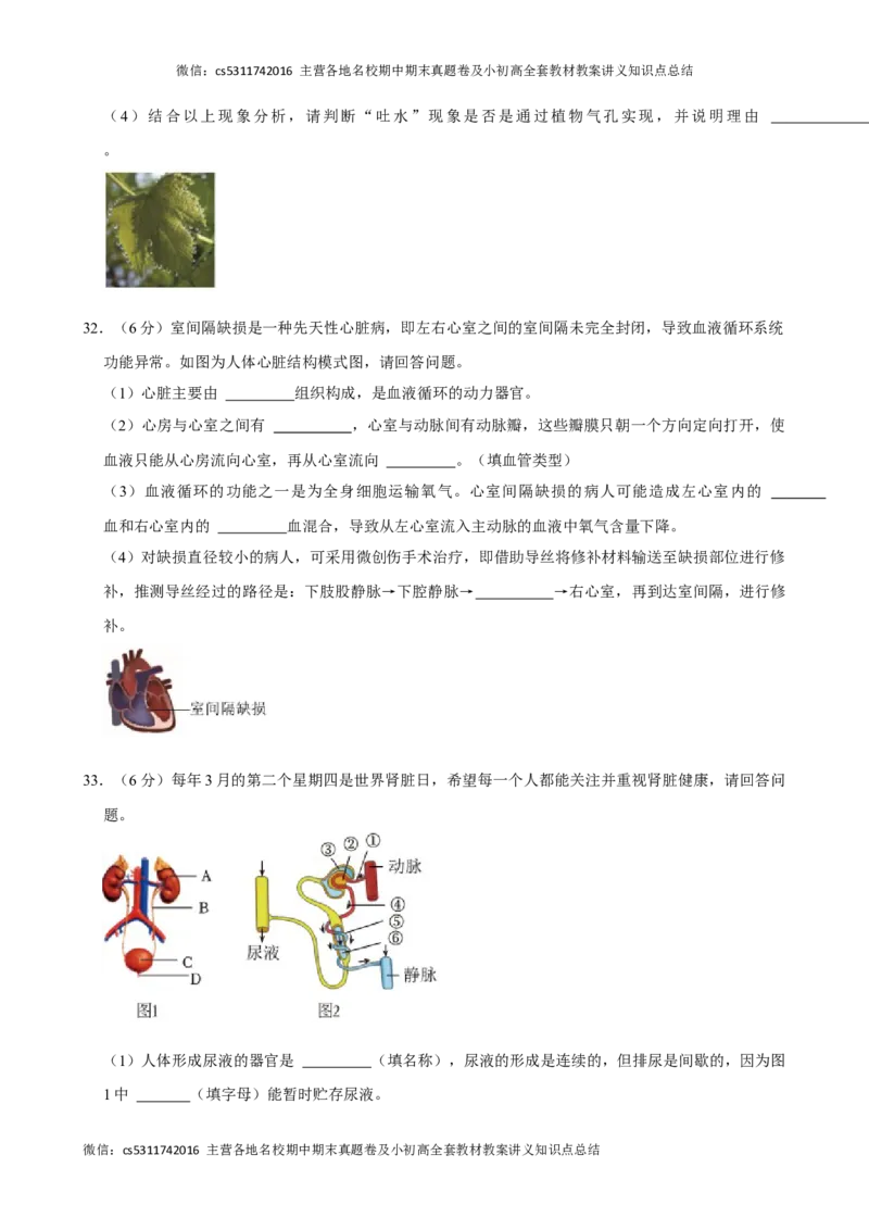 北京市顺义区2023-2024学年七年级下学期期末生物试卷(1)_北京初中期末题_C605-京七八九_B京生物七八九_北京7下生物_2022-2024_北京生物7下期末