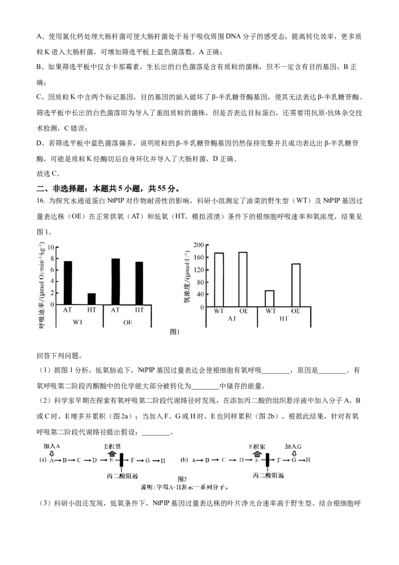 2025年高考生物真题（安徽自主命题）（解析版）_全国卷+地方卷_6.生物_1.生物高考真题试卷_2025年高考-生物_2025年安徽自主命题
