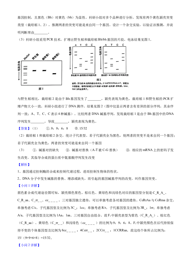 2025年高考生物真题（安徽自主命题）（解析版）_全国卷+地方卷_6.生物_1.生物高考真题试卷_2025年高考-生物_2025年安徽自主命题