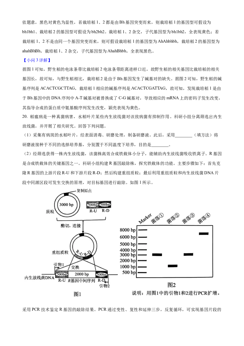 2025年高考生物真题（安徽自主命题）（解析版）_全国卷+地方卷_6.生物_1.生物高考真题试卷_2025年高考-生物_2025年安徽自主命题