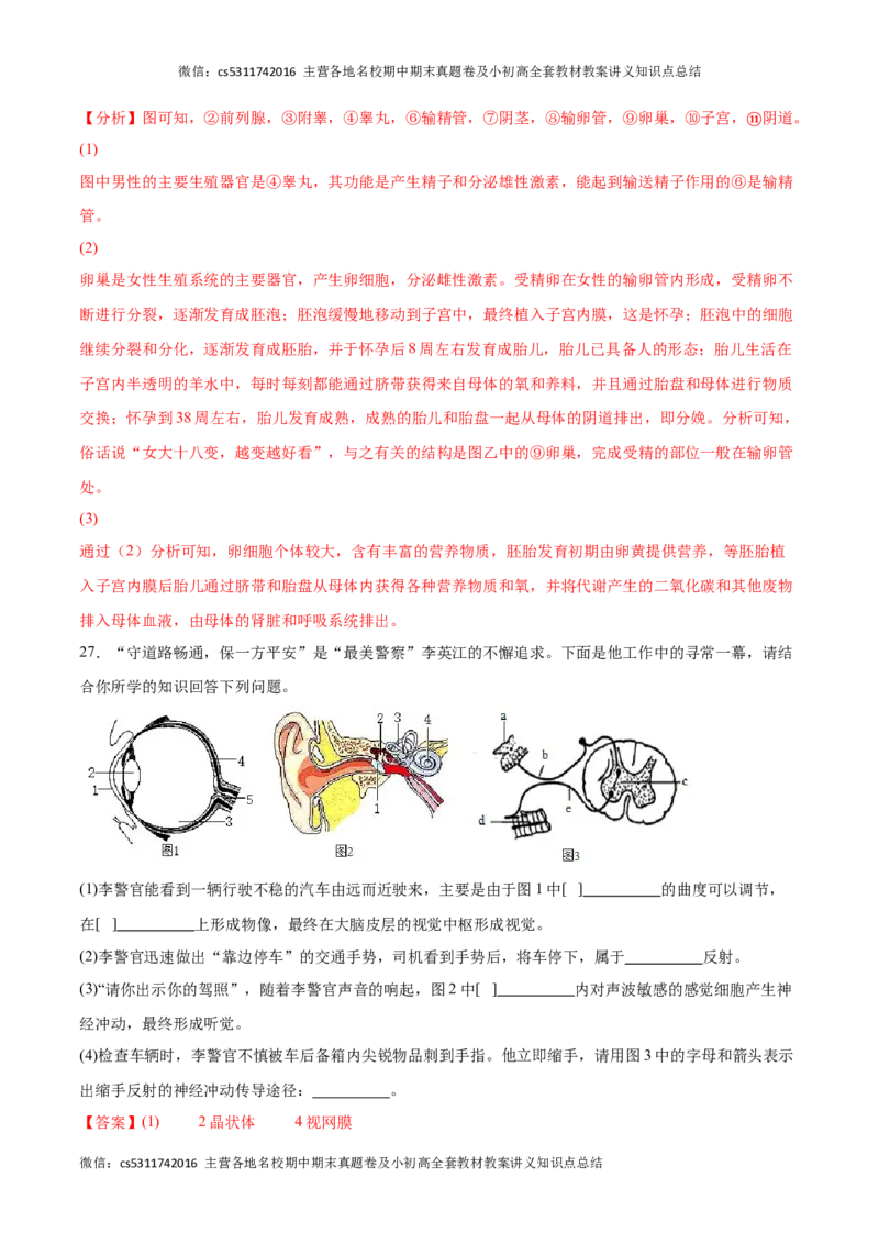 期末冲刺卷01（北京专用）（解析版）(1)_北京初中期末题_C605-京七八九_B京生物七八九_北京7下生物_2022-2024_北京生物7下期末