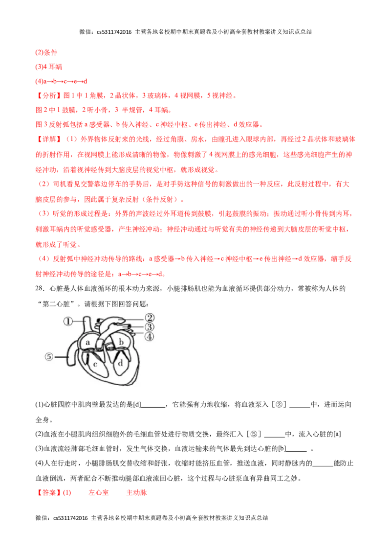 期末冲刺卷01（北京专用）（解析版）(1)_北京初中期末题_C605-京七八九_B京生物七八九_北京7下生物_2022-2024_北京生物7下期末