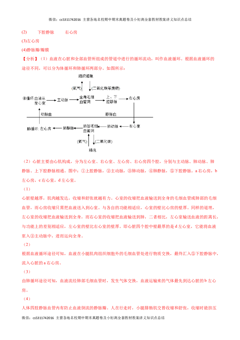 期末冲刺卷01（北京专用）（解析版）(1)_北京初中期末题_C605-京七八九_B京生物七八九_北京7下生物_2022-2024_北京生物7下期末