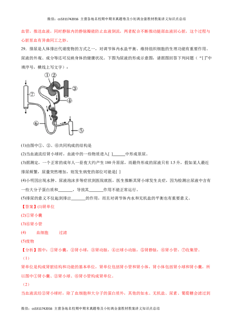 期末冲刺卷01（北京专用）（解析版）(1)_北京初中期末题_C605-京七八九_B京生物七八九_北京7下生物_2022-2024_北京生物7下期末