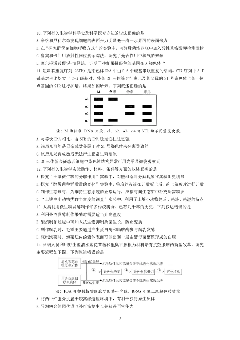 2024-2025学年第一学期六校联合体10月联合调研_A1502026各地模拟卷（超值！）_10月_241023江苏省南京市六校联合体2024-2025学年高三上学期10月期中调研
