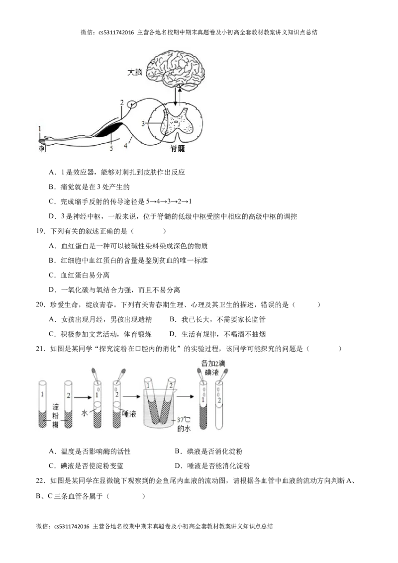期末冲刺卷01（北京专用）（原卷版）(1)_北京初中期末题_C605-京七八九_B京生物七八九_北京7下生物_2022-2024_北京生物7下期末