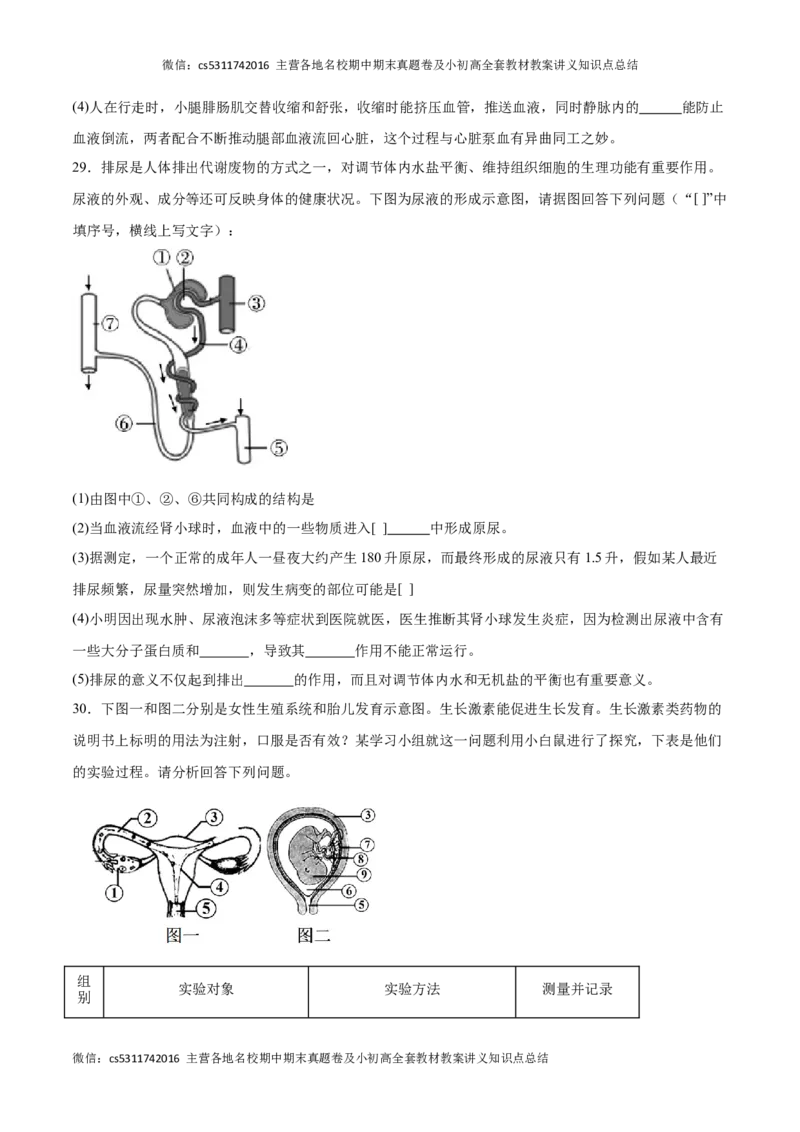 期末冲刺卷01（北京专用）（原卷版）(1)_北京初中期末题_C605-京七八九_B京生物七八九_北京7下生物_2022-2024_北京生物7下期末
