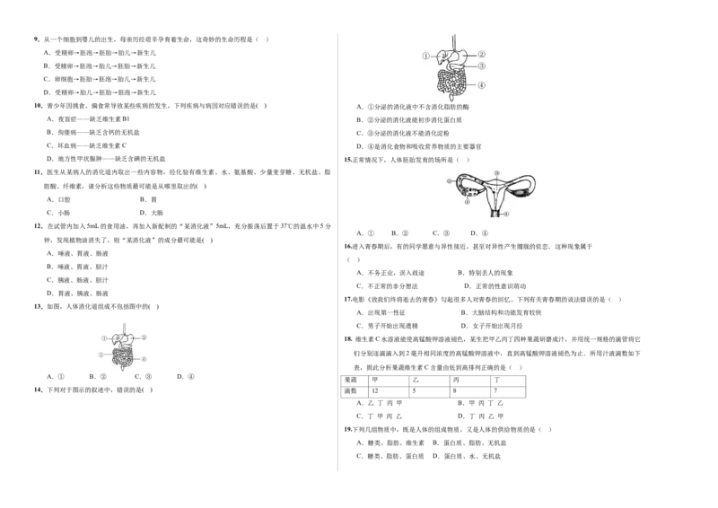 七年级生物第一次月考卷-北京（考试版A3）测试范围：人教版前2章(1)_北京初中期末题_C605-京七八九_B京生物七八九_北京7下生物_2022-2024_北京生物7下月考