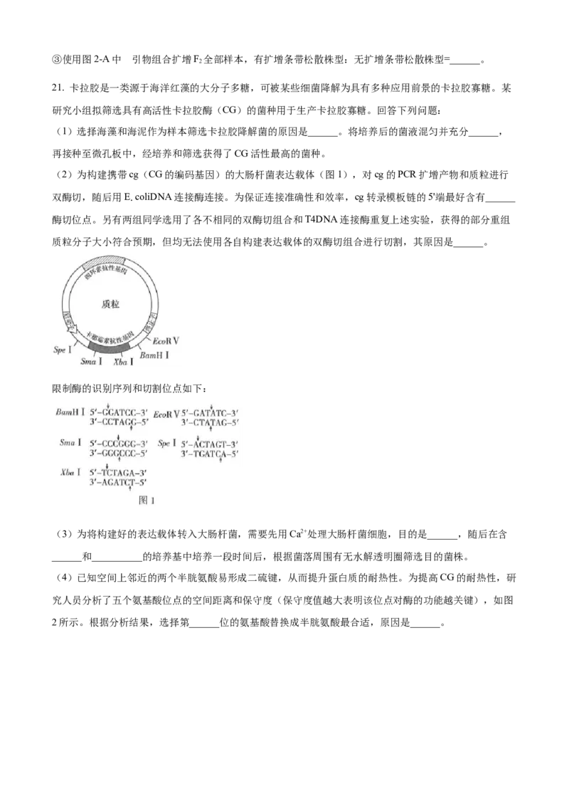 2025年高考生物真题（河南自主命题）（原卷版）_全国卷+地方卷_6.生物_1.生物高考真题试卷_2025年高考-生物_2025年河南自主命题