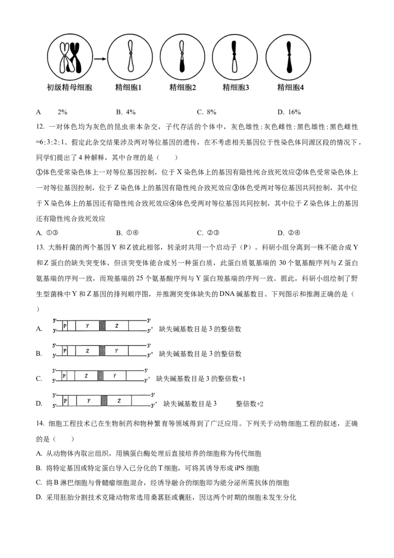 2025年高考生物真题（安徽自主命题）（原卷版）_全国卷+地方卷_6.生物_1.生物高考真题试卷_2025年高考-生物_2025年安徽自主命题