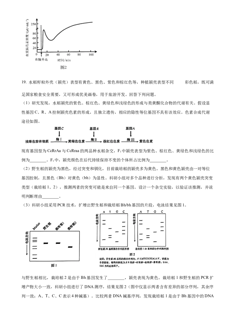 2025年高考生物真题（安徽自主命题）（原卷版）_全国卷+地方卷_6.生物_1.生物高考真题试卷_2025年高考-生物_2025年安徽自主命题