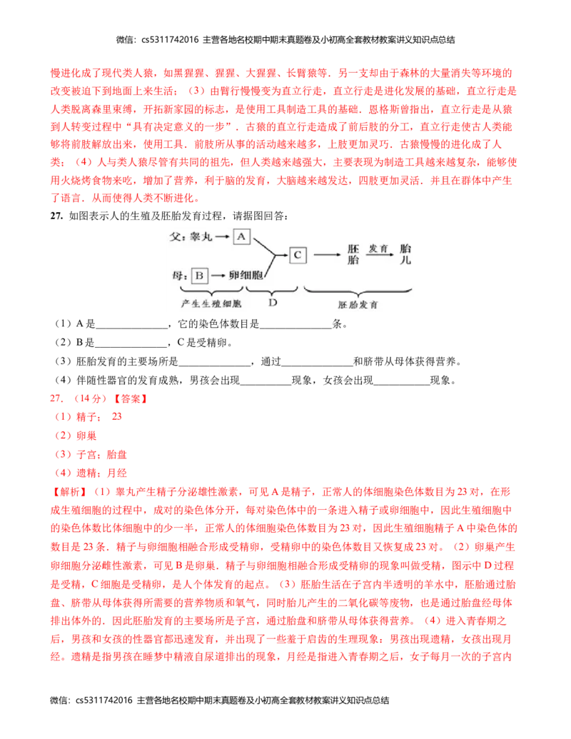 七年级生物第一次月考卷-北京（全解全析）人教版(1)_北京初中期末题_C605-京七八九_B京生物七八九_北京7下生物_2022-2024_北京生物7下月考