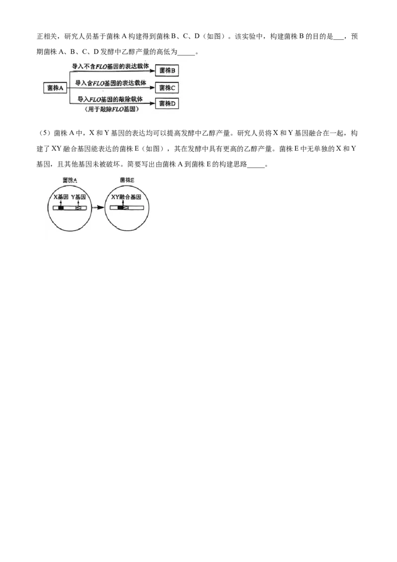 2024年高考生物真题（海南自主命题）（原卷版）_全国卷+地方卷_6.生物_1.生物高考真题试卷_2024年高考-生物_2024年海南自主命题-生物