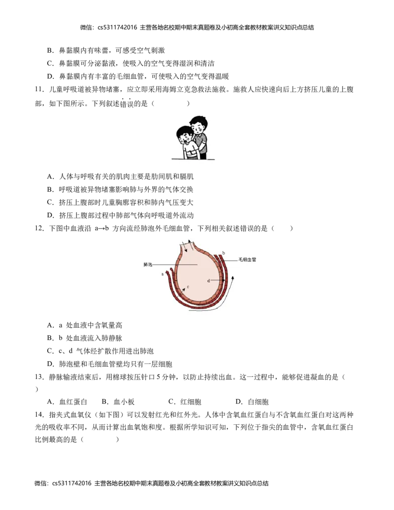 七年级生物期末模拟卷（考试版A4）测试范围：七年级人教版下册(1)_北京初中期末题_C605-京七八九_B京生物七八九_北京7下生物_2022-2024_北京生物7下期末