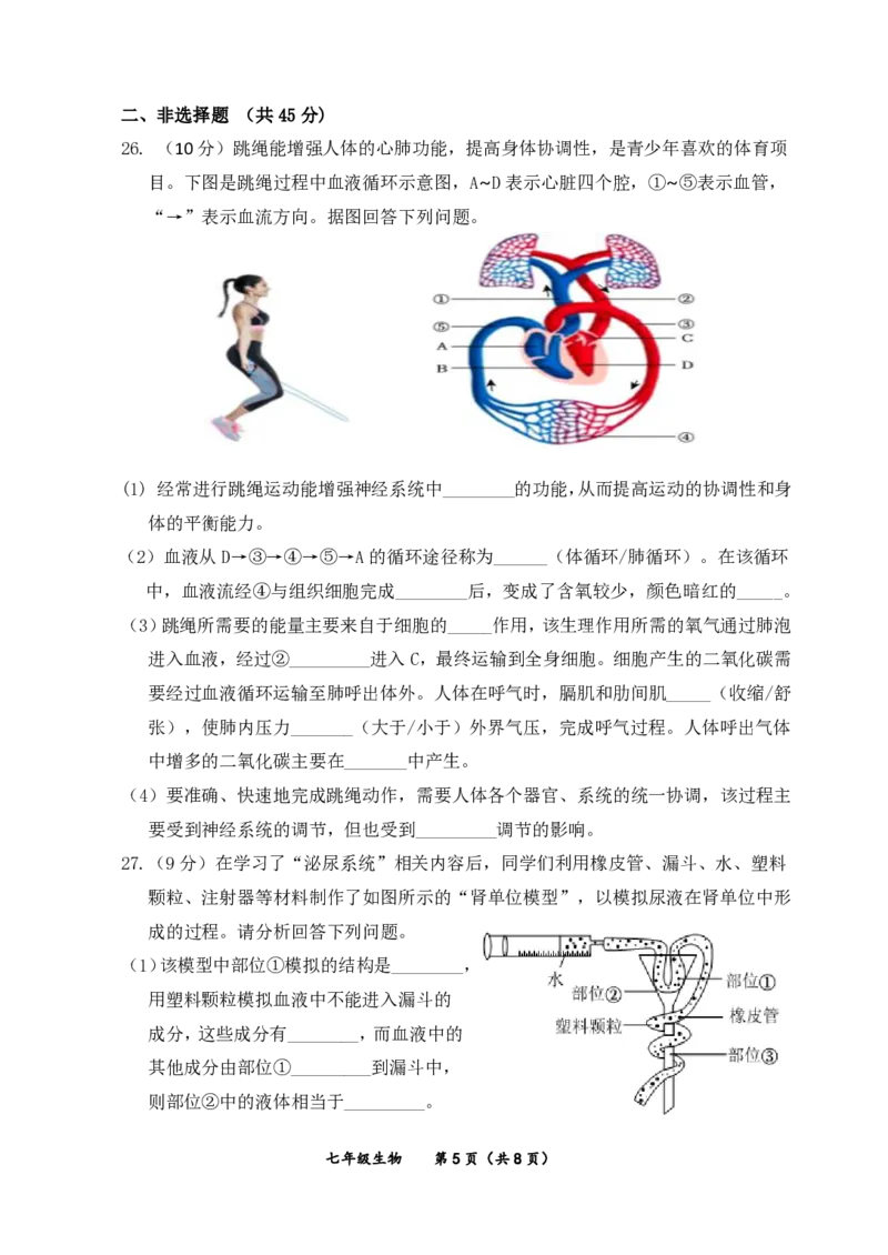 北京市延庆区2023-2024学年七年级下学期期末生物试卷(1)_北京初中期末题_C605-京七八九_B京生物七八九_北京7下生物_2022-2024_北京生物7下期末