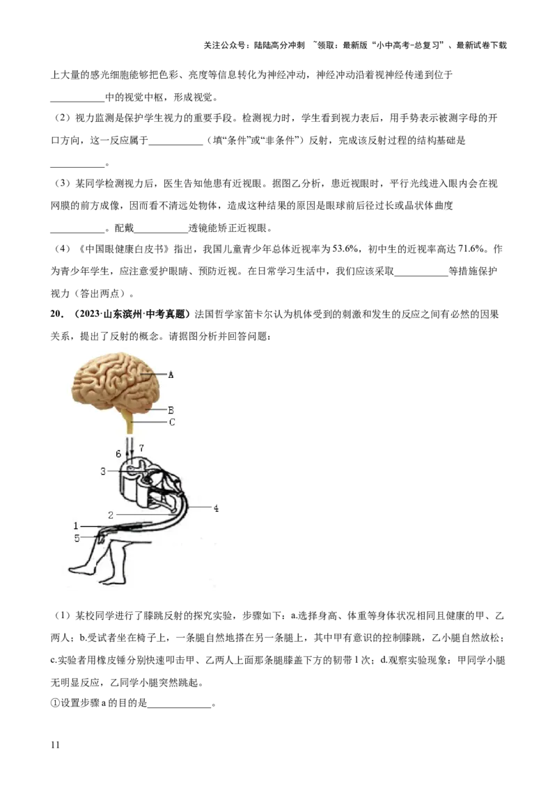 专题14人体生命活动的调节（练习）（原卷版）_02中考总复习（2026版更新中）_08-生物-中考总复习_2024年中考复习资料_一轮复习_❤2024年中考生物一轮复习讲练测（全国通用）_练习