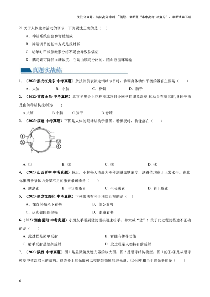 专题14人体生命活动的调节（练习）（原卷版）_02中考总复习（2026版更新中）_08-生物-中考总复习_2024年中考复习资料_一轮复习_❤2024年中考生物一轮复习讲练测（全国通用）_练习