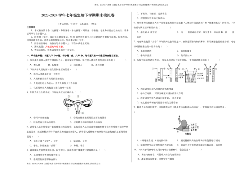 七年级生物期末模拟卷（考试版A3）测试范围：人教版七年级下册(1)_北京初中期末题_C605-京七八九_B京生物七八九_北京7下生物_2022-2024_北京生物7下期末