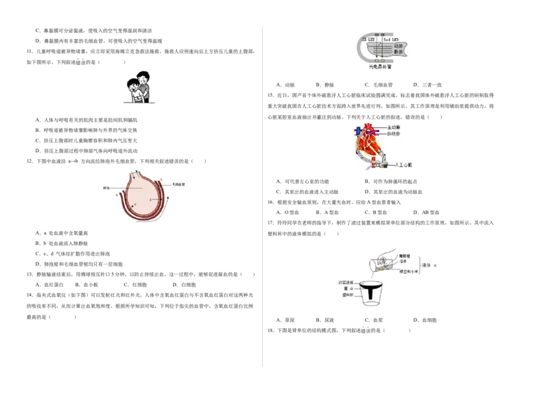 七年级生物期末模拟卷（考试版A3）测试范围：人教版七年级下册(1)_北京初中期末题_C605-京七八九_B京生物七八九_北京7下生物_2022-2024_北京生物7下期末