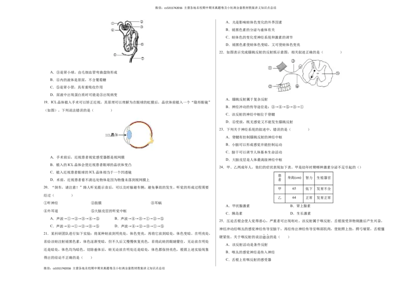 七年级生物期末模拟卷（考试版A3）测试范围：人教版七年级下册(1)_北京初中期末题_C605-京七八九_B京生物七八九_北京7下生物_2022-2024_北京生物7下期末