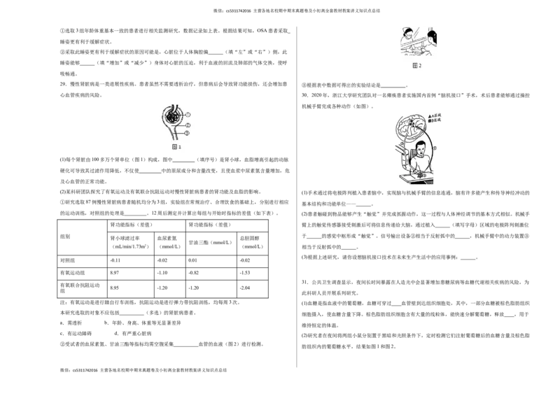 七年级生物期末模拟卷（考试版A3）测试范围：人教版七年级下册(1)_北京初中期末题_C605-京七八九_B京生物七八九_北京7下生物_2022-2024_北京生物7下期末
