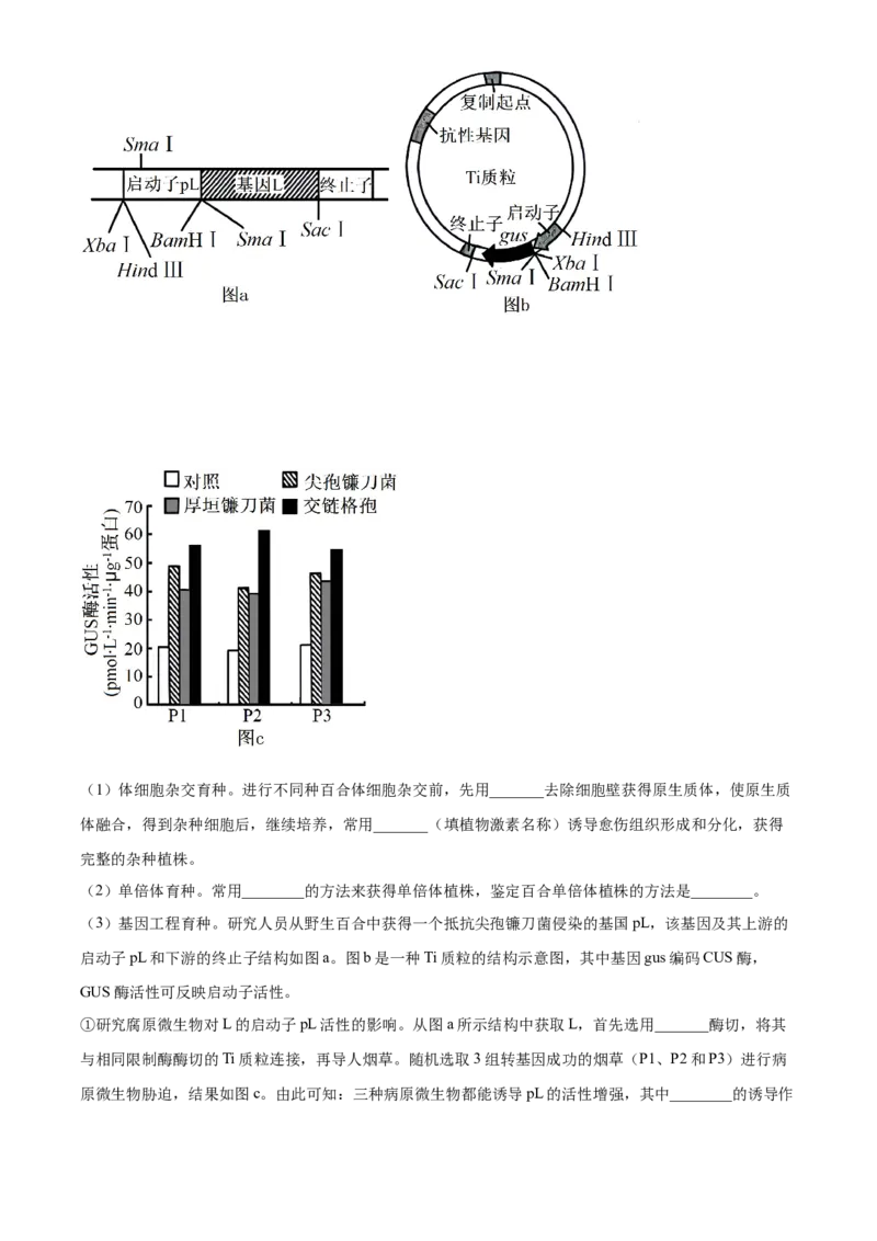 2024年高考生物真题（湖南自主命题）（原卷版）_全国卷+地方卷_6.生物_1.生物高考真题试卷_2024年高考-生物_2024年湖南自主命题-生物