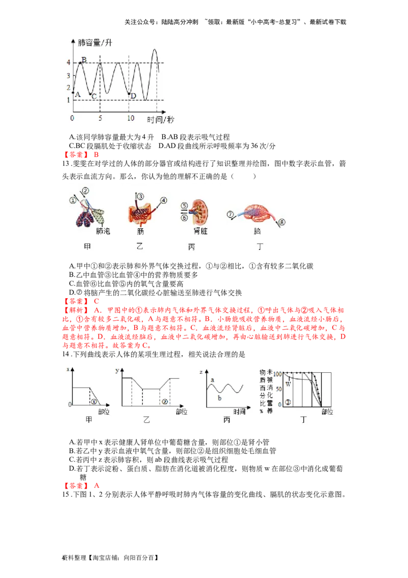 专题13人体的呼吸（解析版）_02中考总复习（2026版更新中）_08-生物-中考总复习_2024年中考复习资料_一轮复习_配套练习_教师版（含答案解析）