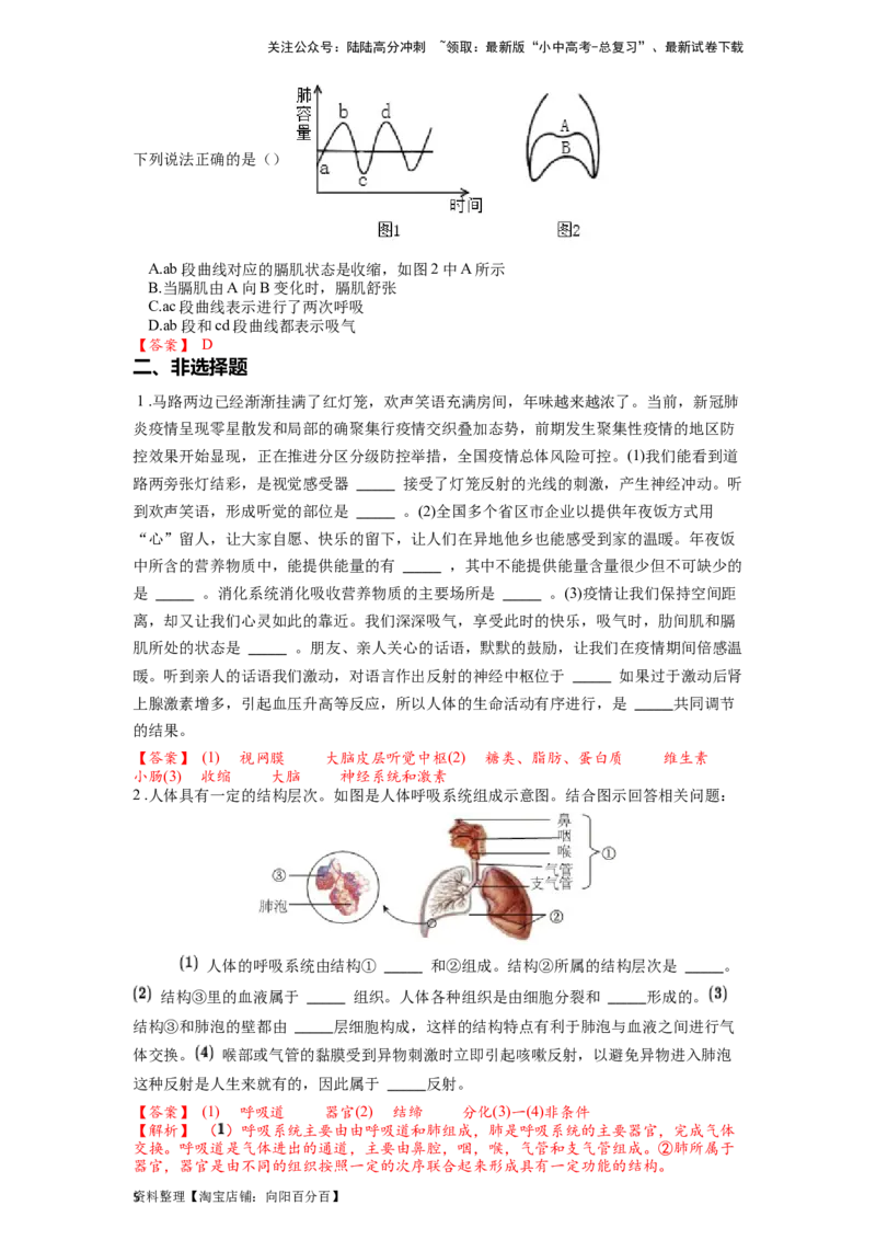 专题13人体的呼吸（解析版）_02中考总复习（2026版更新中）_08-生物-中考总复习_2024年中考复习资料_一轮复习_配套练习_教师版（含答案解析）