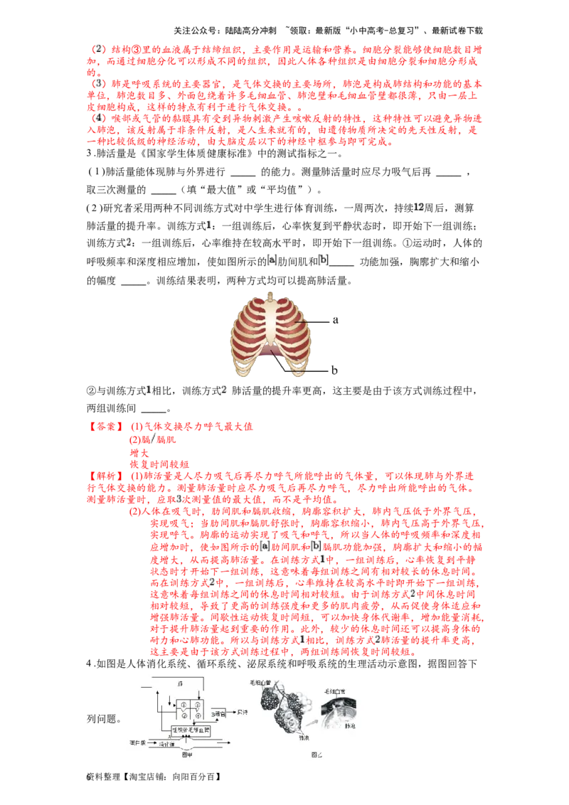 专题13人体的呼吸（解析版）_02中考总复习（2026版更新中）_08-生物-中考总复习_2024年中考复习资料_一轮复习_配套练习_教师版（含答案解析）