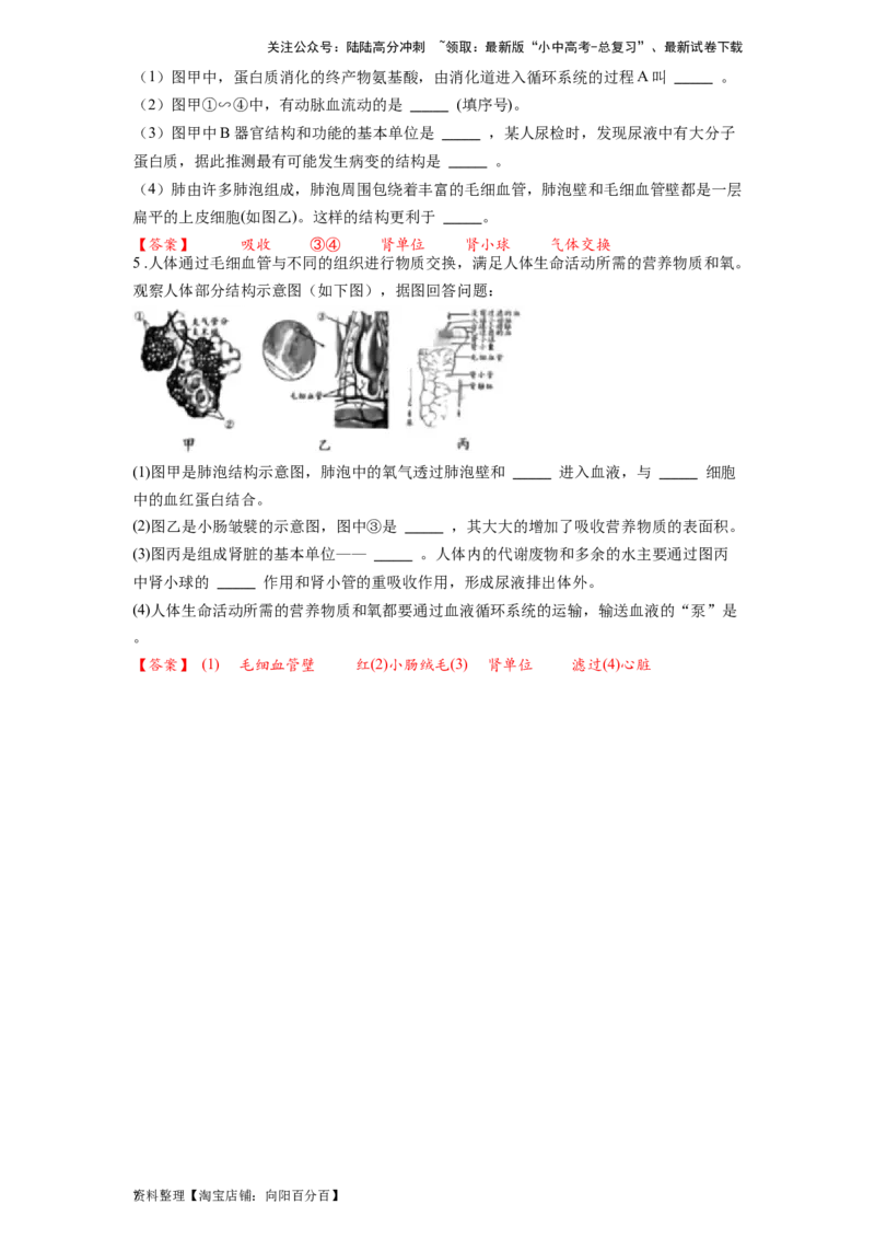 专题13人体的呼吸（解析版）_02中考总复习（2026版更新中）_08-生物-中考总复习_2024年中考复习资料_一轮复习_配套练习_教师版（含答案解析）
