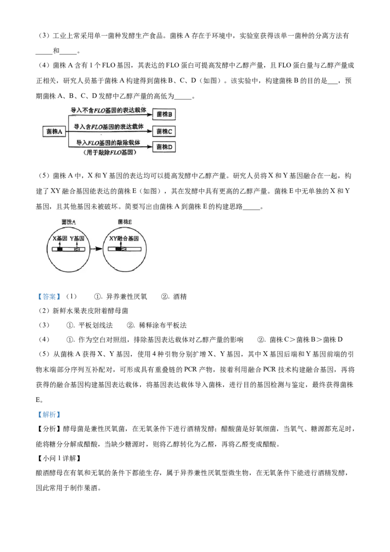 2024年高考生物真题（海南自主命题）（解析版）_全国卷+地方卷_6.生物_1.生物高考真题试卷_2024年高考-生物_2024年海南自主命题-生物