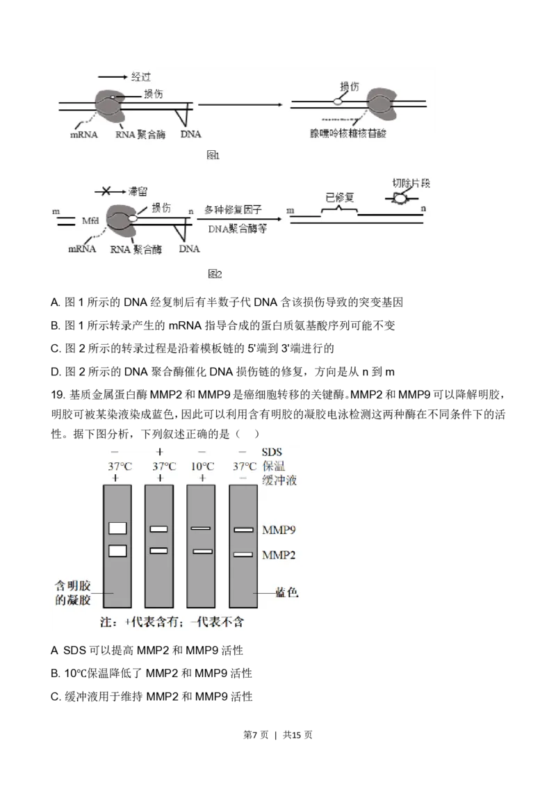 2023年高考生物试卷（辽宁）（答案卷）_A1502026各地模拟卷（超值！）_赠送：2008-2024全套高考真题_高考生物真题_新&middot;PDF版2008-2024&middot;高考生物真题_版本3：生物（按年份分类）2008-2024