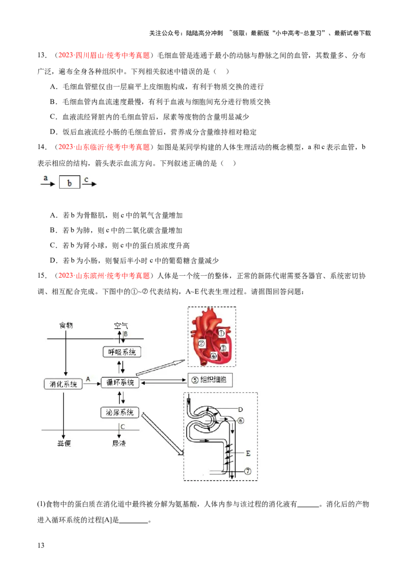 专题13人体内废物的排出（原卷版）_02中考总复习（2026版更新中）_08-生物-中考总复习_2024年中考复习资料_一轮复习_❤备战2024年中考生物一轮复习考点帮（全国通用）_练习