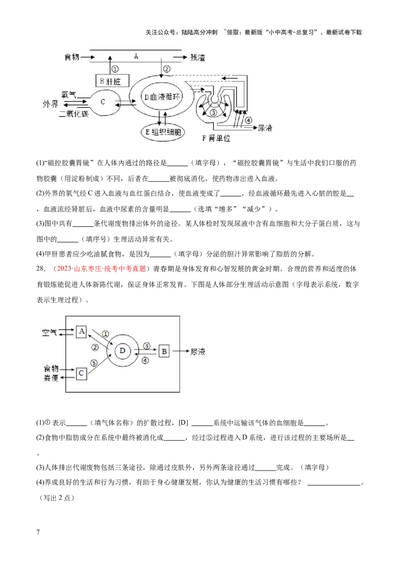 专题13人体内废物的排出（原卷版）_02中考总复习（2026版更新中）_08-生物-中考总复习_2024年中考复习资料_一轮复习_❤备战2024年中考生物一轮复习考点帮（全国通用）_练习