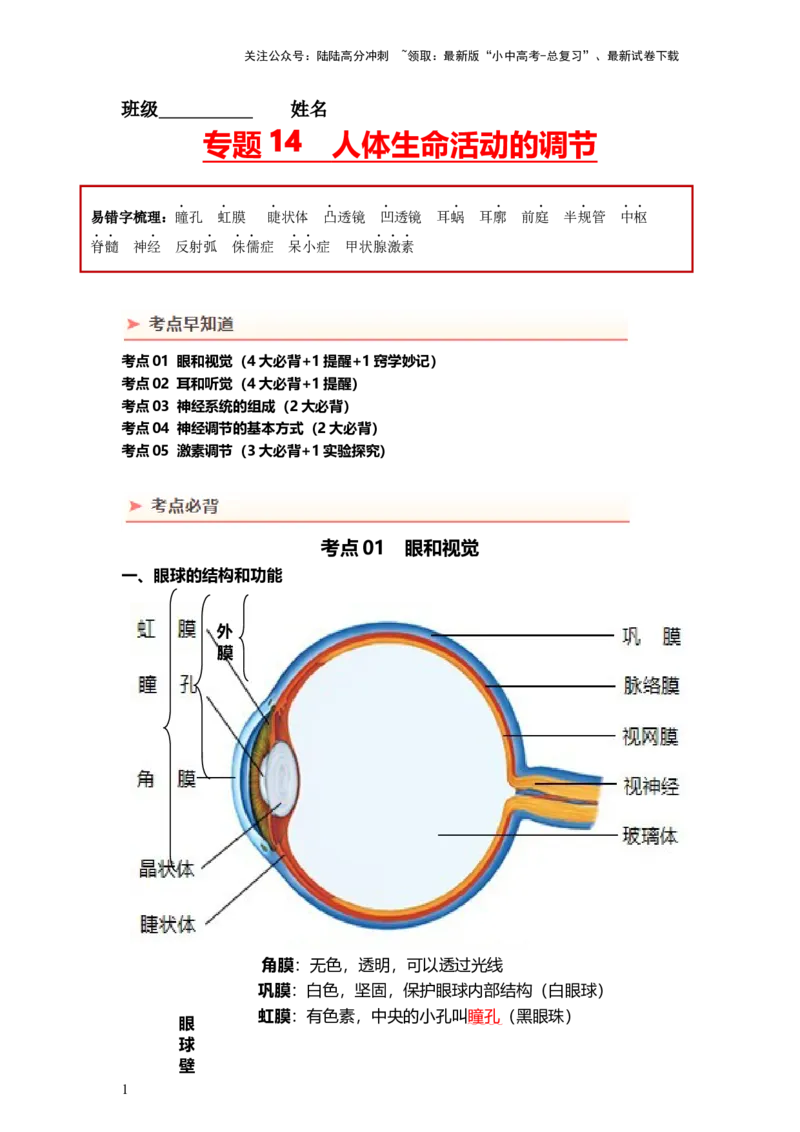 专题14人体生命活动的调节（背记帮）-备战2024年中考生物一轮复习考点帮_02中考总复习（2026版更新中）_08-生物-中考总复习_2024年中考复习资料_一轮复习_必背考点