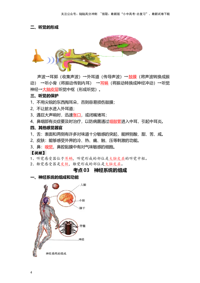 专题14人体生命活动的调节（背记帮）-备战2024年中考生物一轮复习考点帮_02中考总复习（2026版更新中）_08-生物-中考总复习_2024年中考复习资料_一轮复习_必背考点
