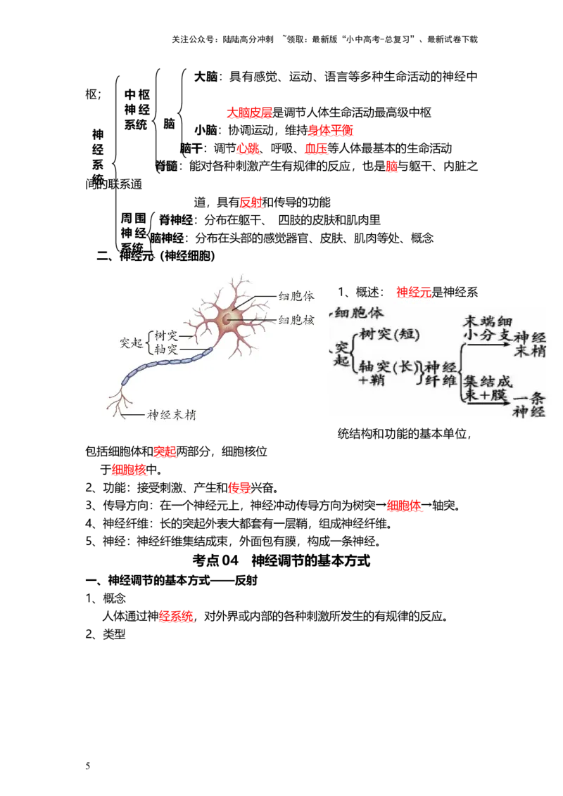 专题14人体生命活动的调节（背记帮）-备战2024年中考生物一轮复习考点帮_02中考总复习（2026版更新中）_08-生物-中考总复习_2024年中考复习资料_一轮复习_必背考点