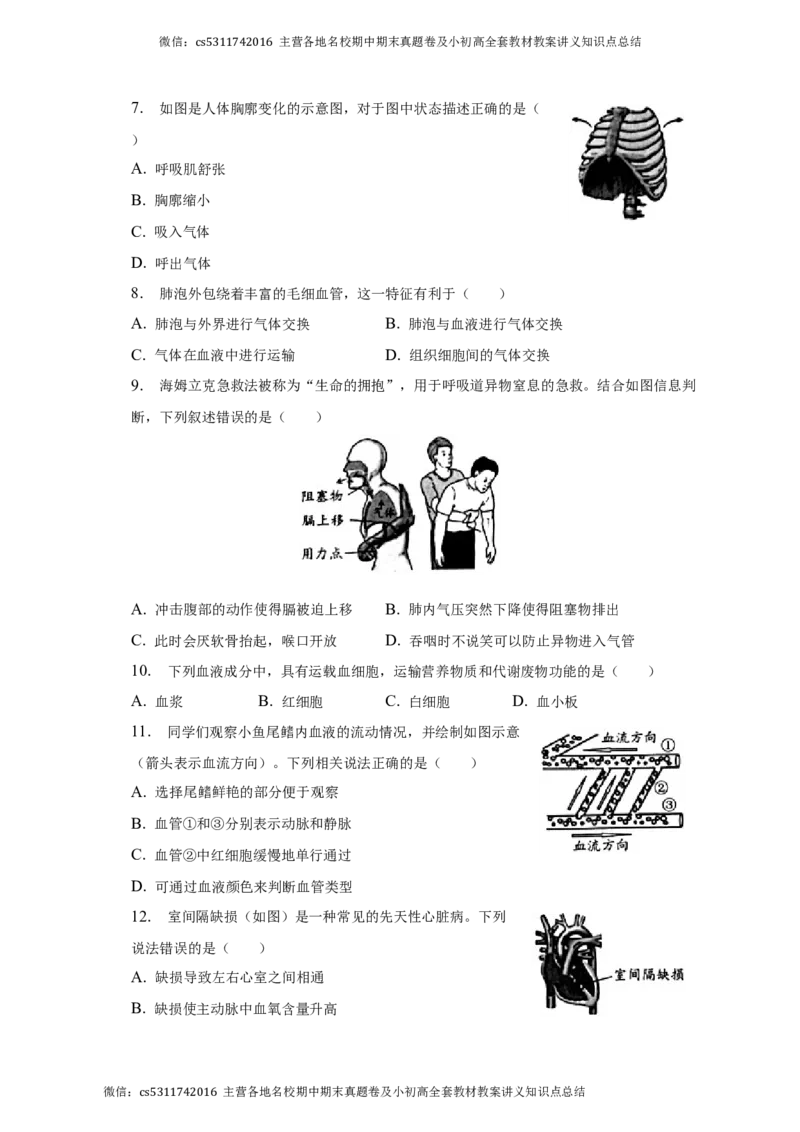北京市西城区2022-2023学年七年级下学期期末生物试卷(1)_北京初中期末题_C605-京七八九_B京生物七八九_北京7下生物_2022-2024_北京生物7下期末