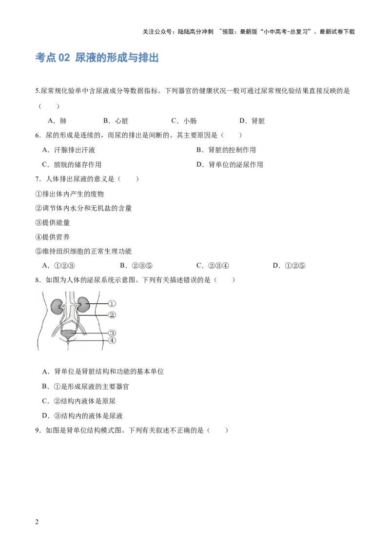 专题13人体内废物的排出（练习）（原卷版）_02中考总复习（2026版更新中）_08-生物-中考总复习_2024年中考复习资料_一轮复习_❤2024年中考生物一轮复习讲练测（全国通用）_练习