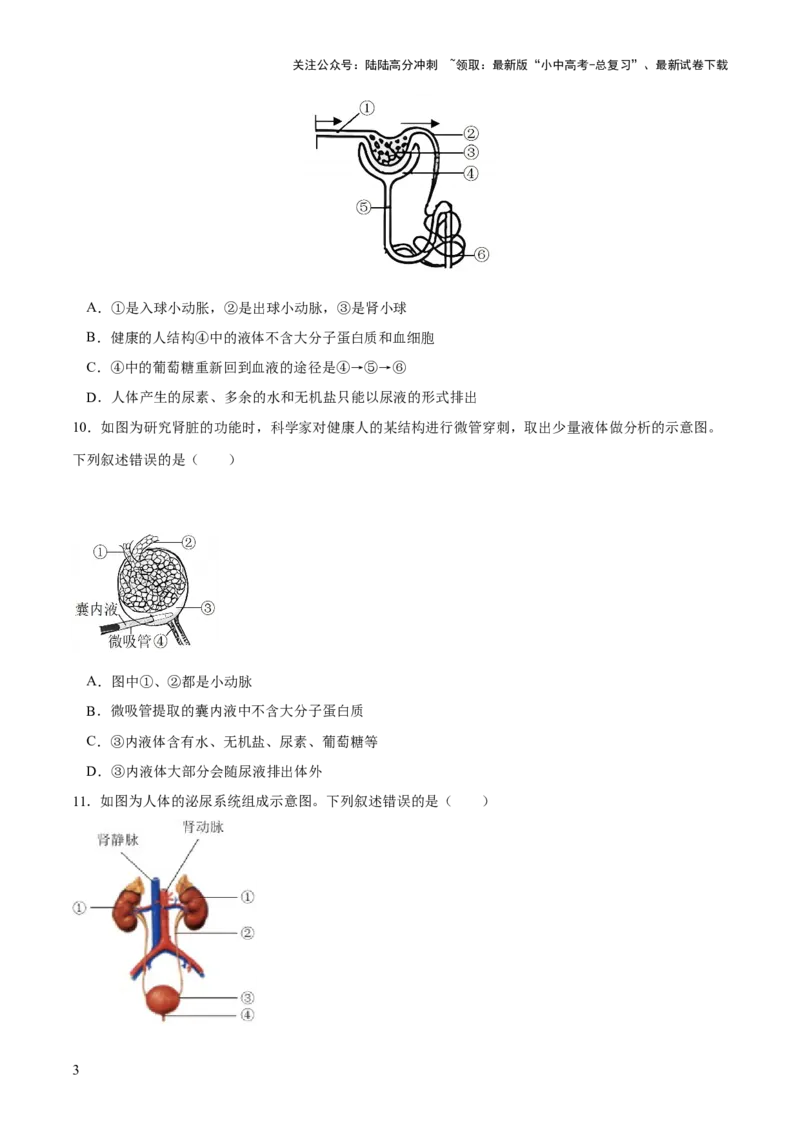 专题13人体内废物的排出（练习）（原卷版）_02中考总复习（2026版更新中）_08-生物-中考总复习_2024年中考复习资料_一轮复习_❤2024年中考生物一轮复习讲练测（全国通用）_练习