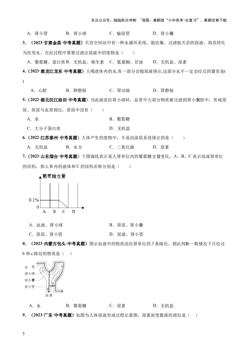 专题13人体内废物的排出（练习）（原卷版）_02中考总复习（2026版更新中）_08-生物-中考总复习_2024年中考复习资料_一轮复习_❤2024年中考生物一轮复习讲练测（全国通用）_练习