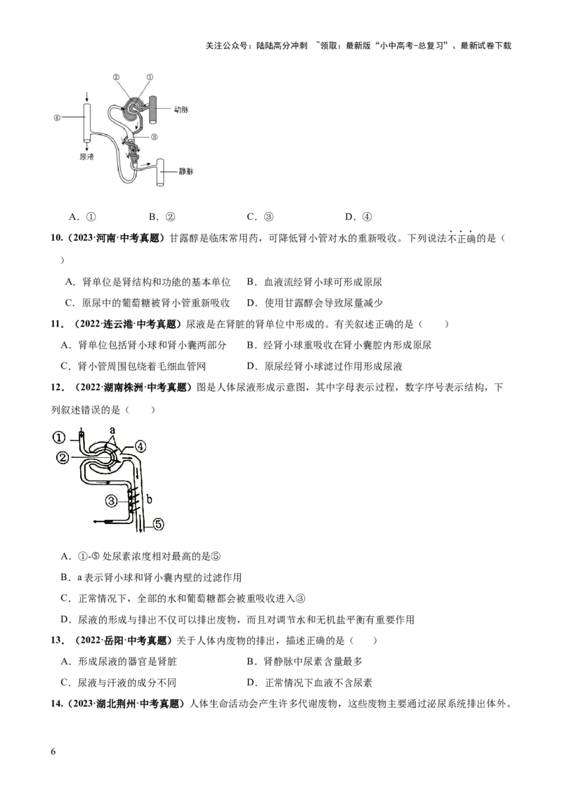 专题13人体内废物的排出（练习）（原卷版）_02中考总复习（2026版更新中）_08-生物-中考总复习_2024年中考复习资料_一轮复习_❤2024年中考生物一轮复习讲练测（全国通用）_练习