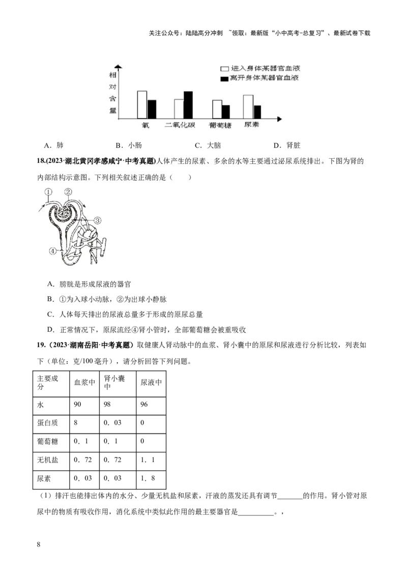 专题13人体内废物的排出（练习）（原卷版）_02中考总复习（2026版更新中）_08-生物-中考总复习_2024年中考复习资料_一轮复习_❤2024年中考生物一轮复习讲练测（全国通用）_练习